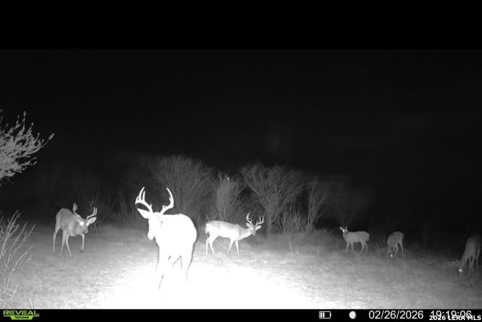 00 County Road 119 Alice TX 78332