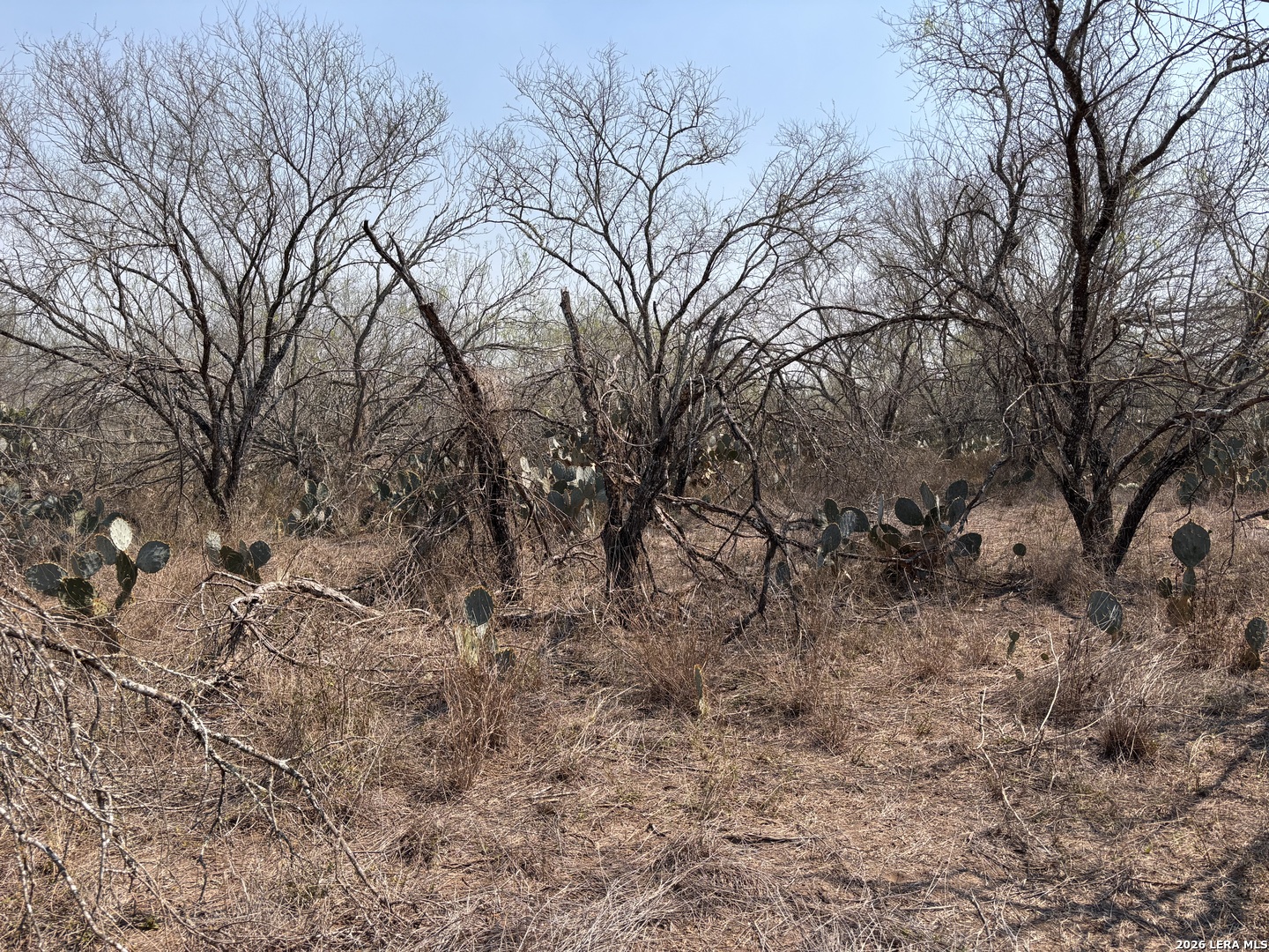 00 County Road 119 Alice TX 78332