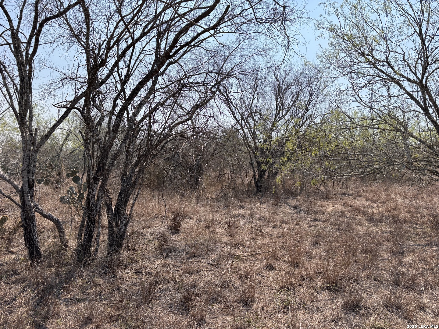 00 County Road 119 Alice TX 78332