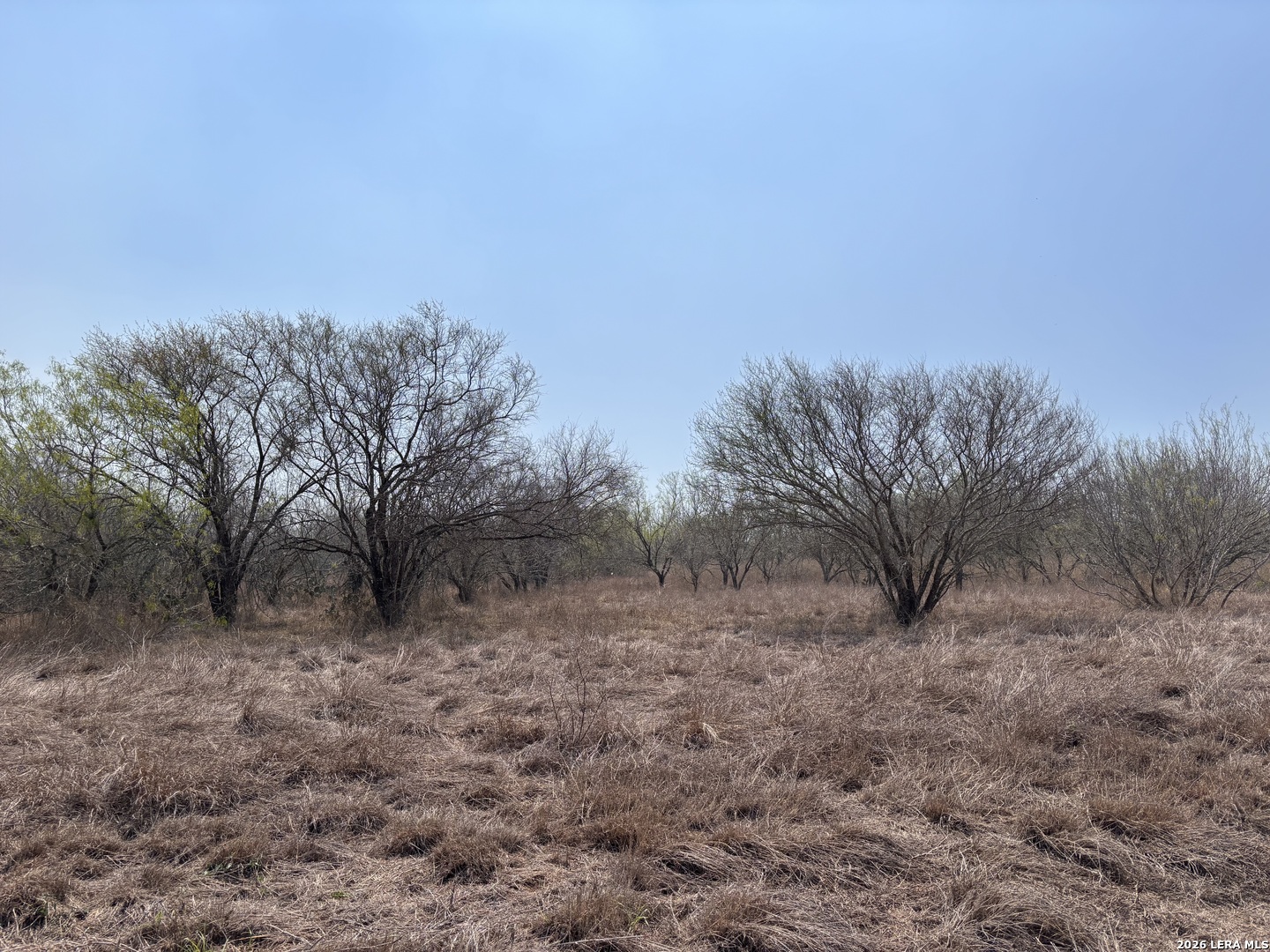 00 County Road 119 Alice TX 78332