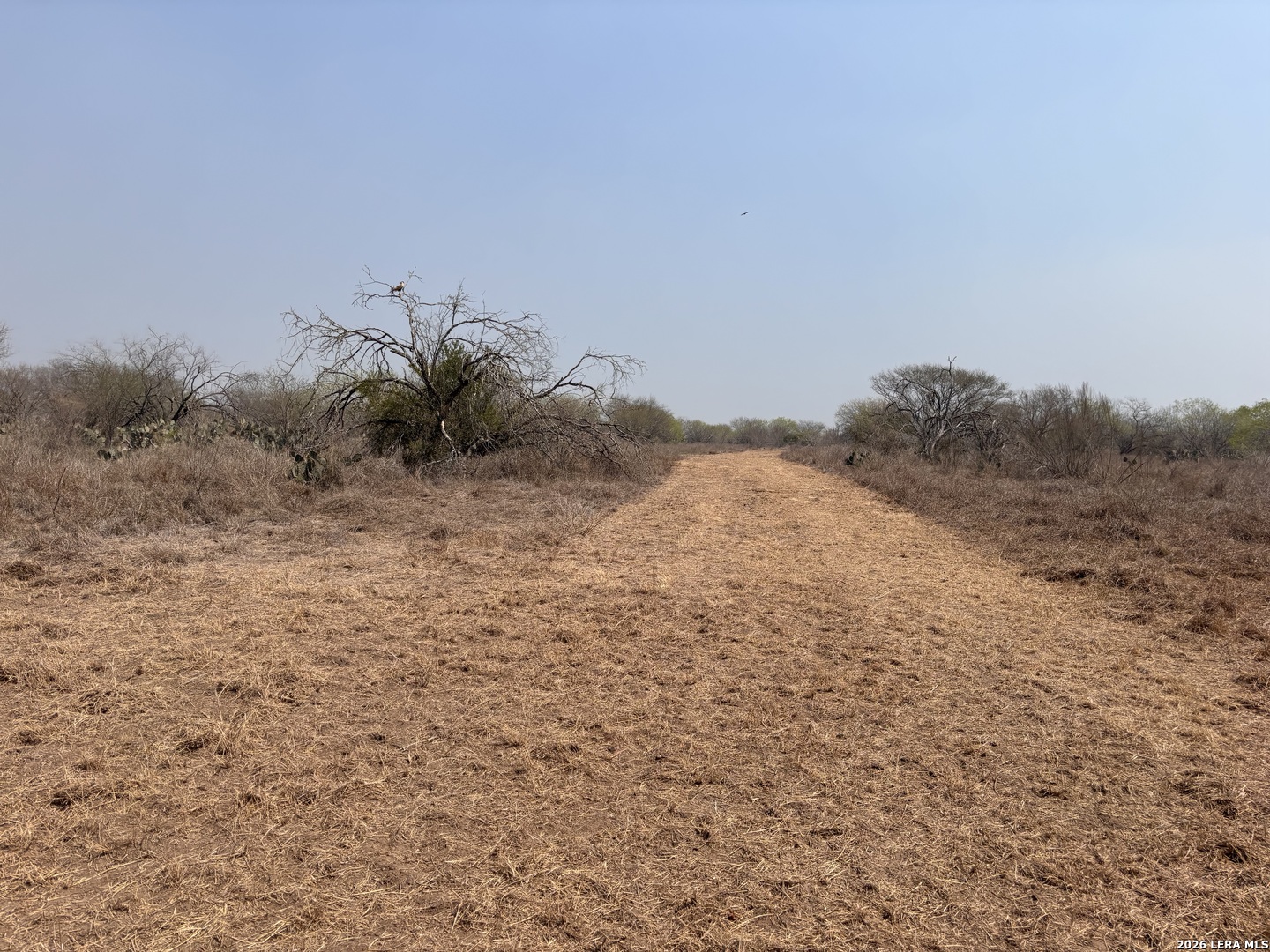00 County Road 119 Alice TX 78332