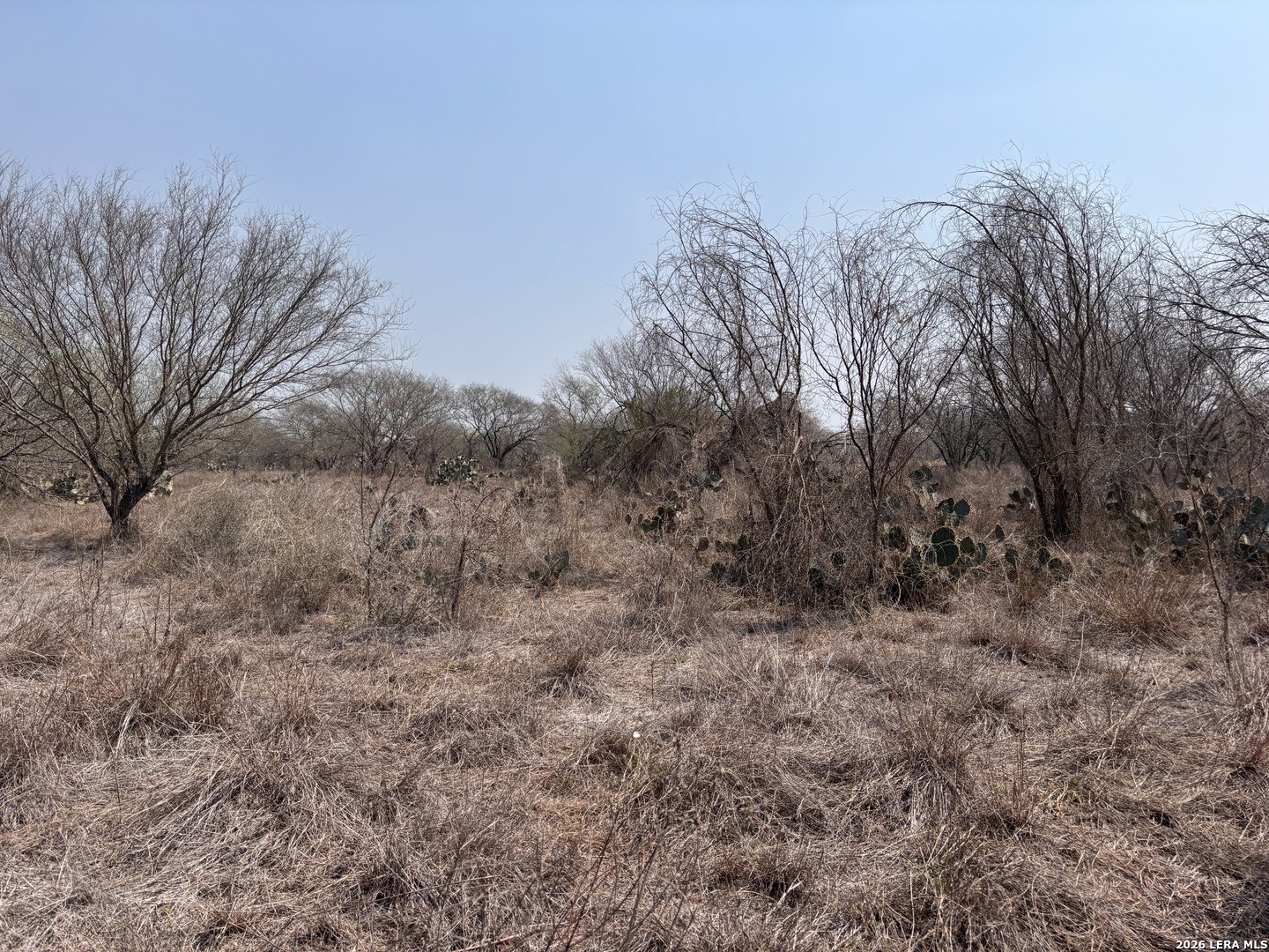 00 County Road 119 Alice TX 78332