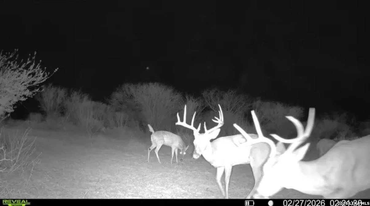 00 County Road 119 Alice TX 78332