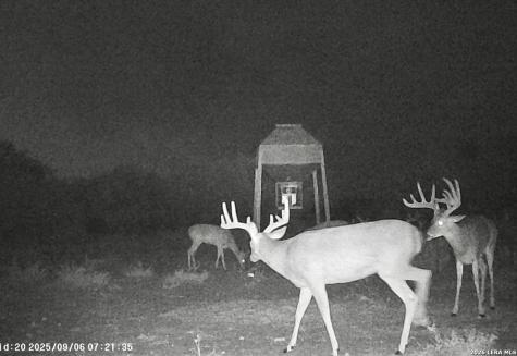 Ih N 35 Pearsall TX 78061