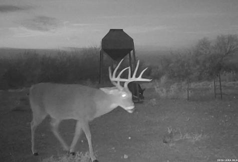 Ih N 35 Pearsall TX 78061