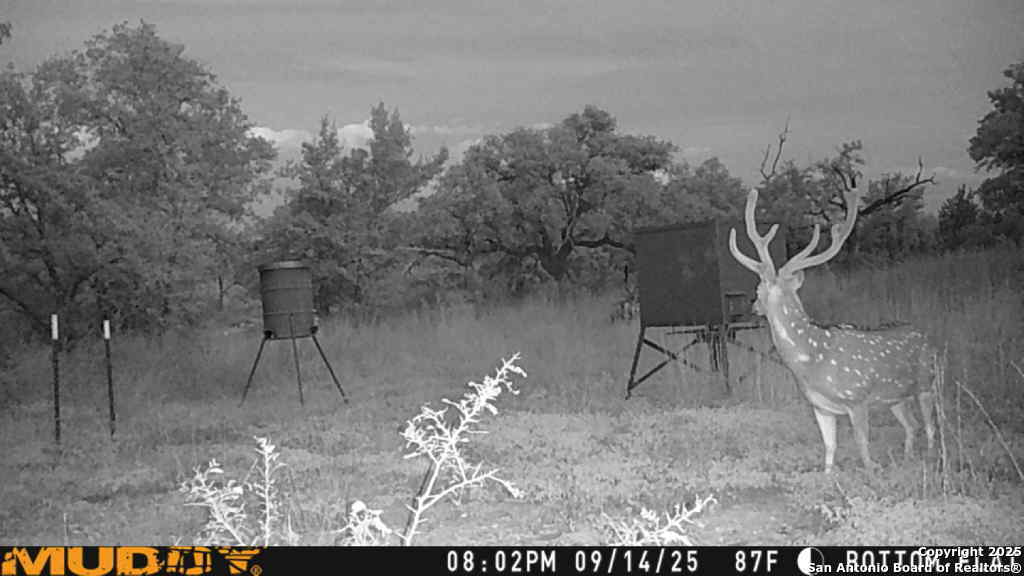 Lot 2 Live Oak Ridge Bandera TX 78003
