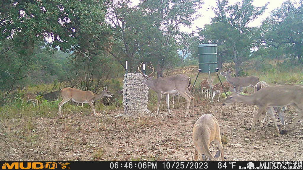 Lot 2 Live Oak Ridge Bandera TX 78003