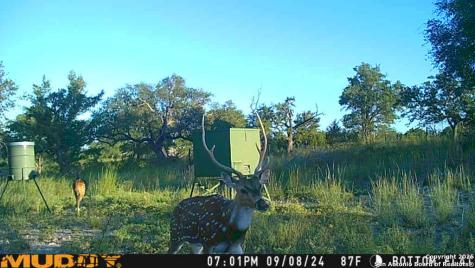 Lot 2 Live Oak Ridge Bandera TX 78003