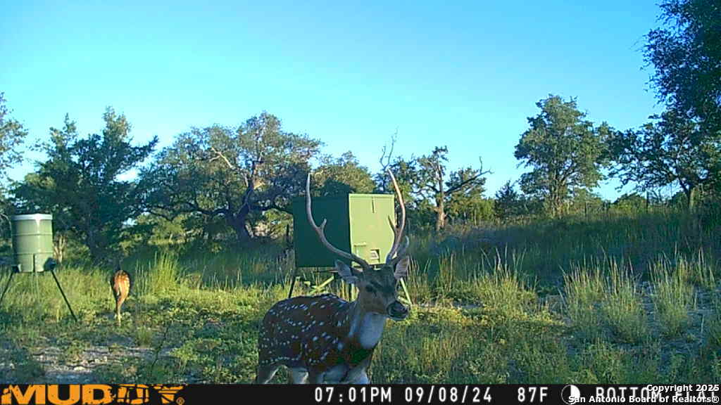 Lot 2 Live Oak Ridge Bandera TX 78003