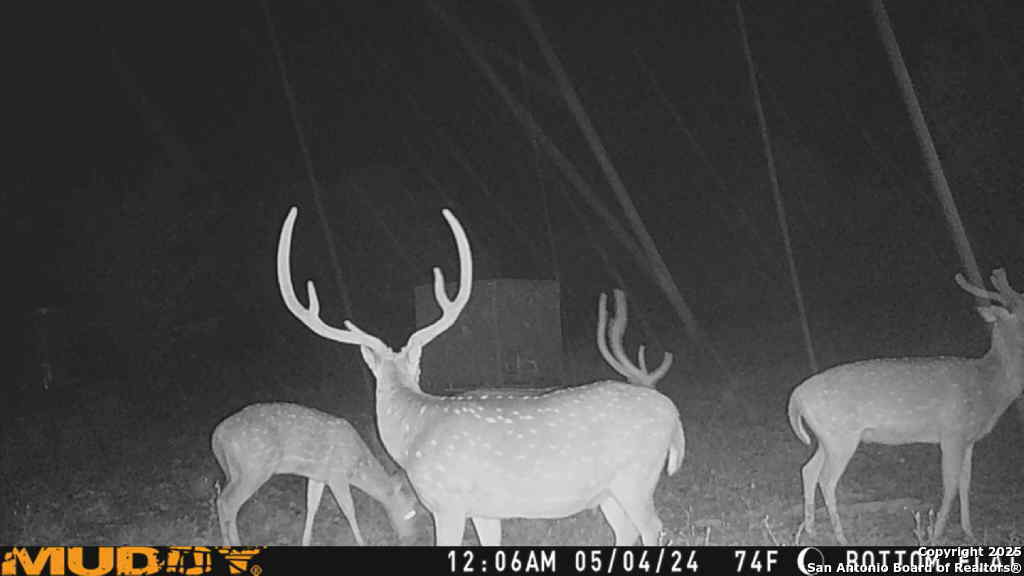 Lot 2 Live Oak Ridge Bandera TX 78003