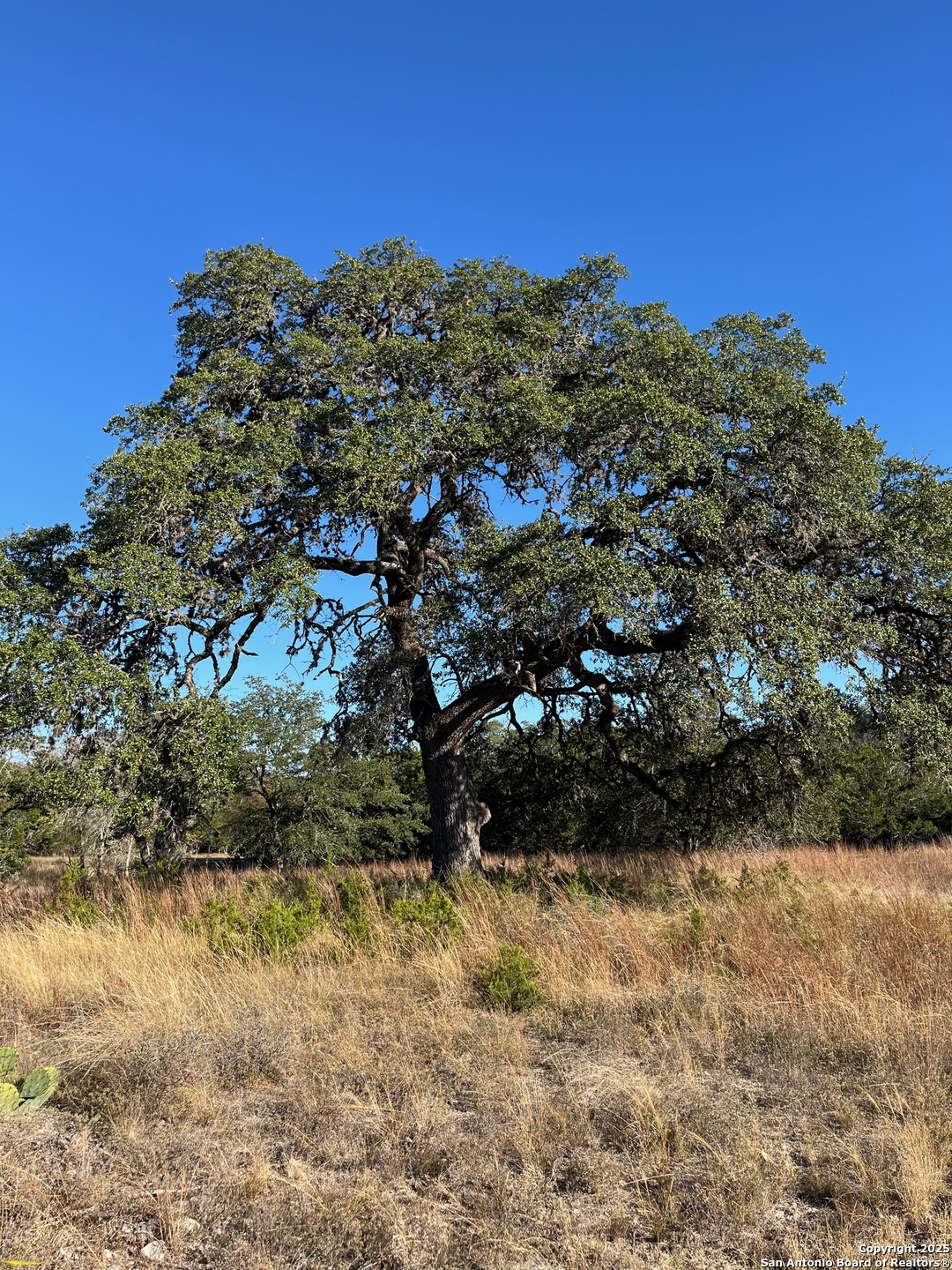 Lot 2 Live Oak Ridge Bandera TX 78003