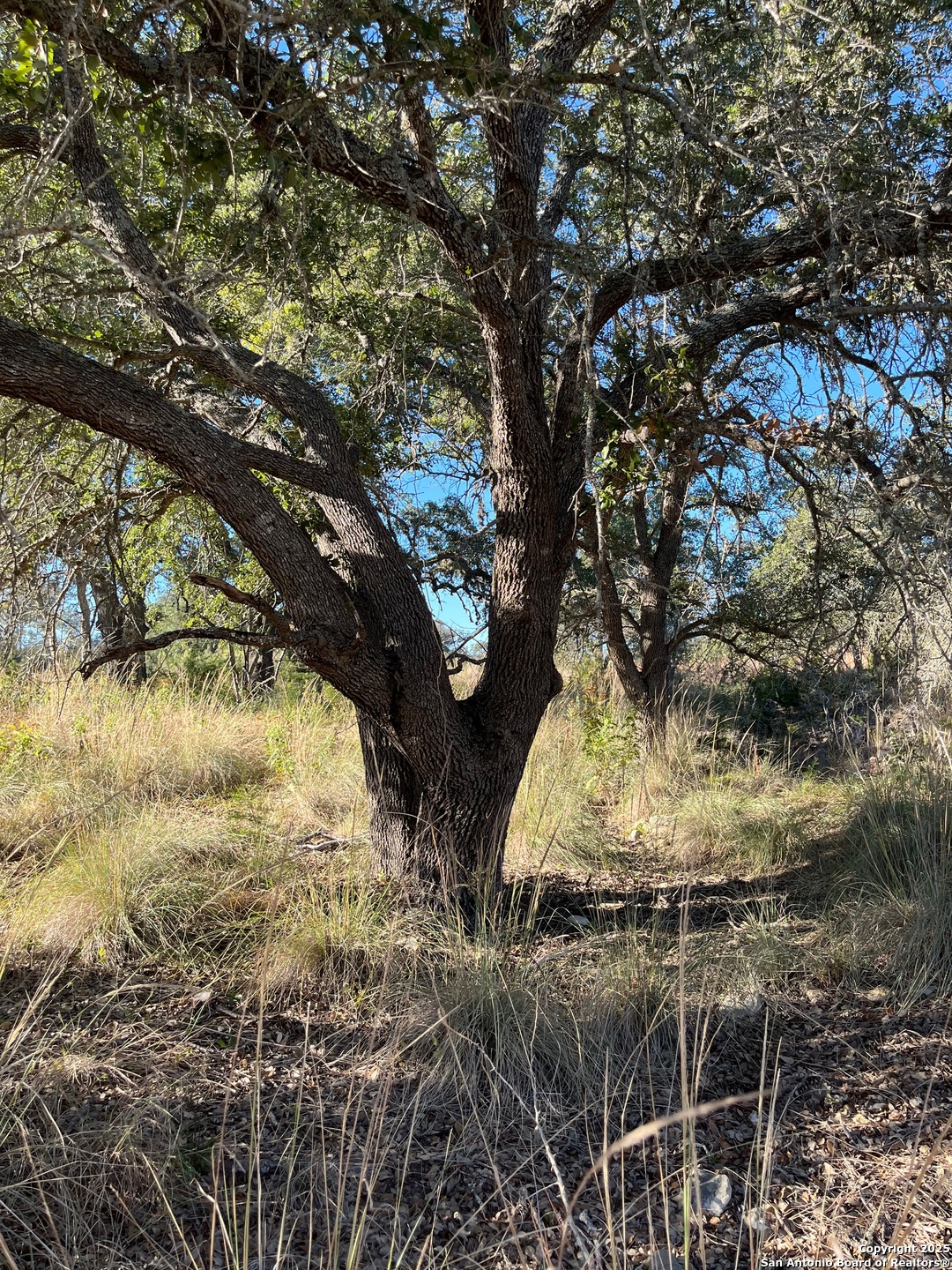 Lot 2 Live Oak Ridge Bandera TX 78003