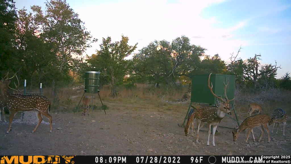Lot 2 Live Oak Ridge Bandera TX 78003