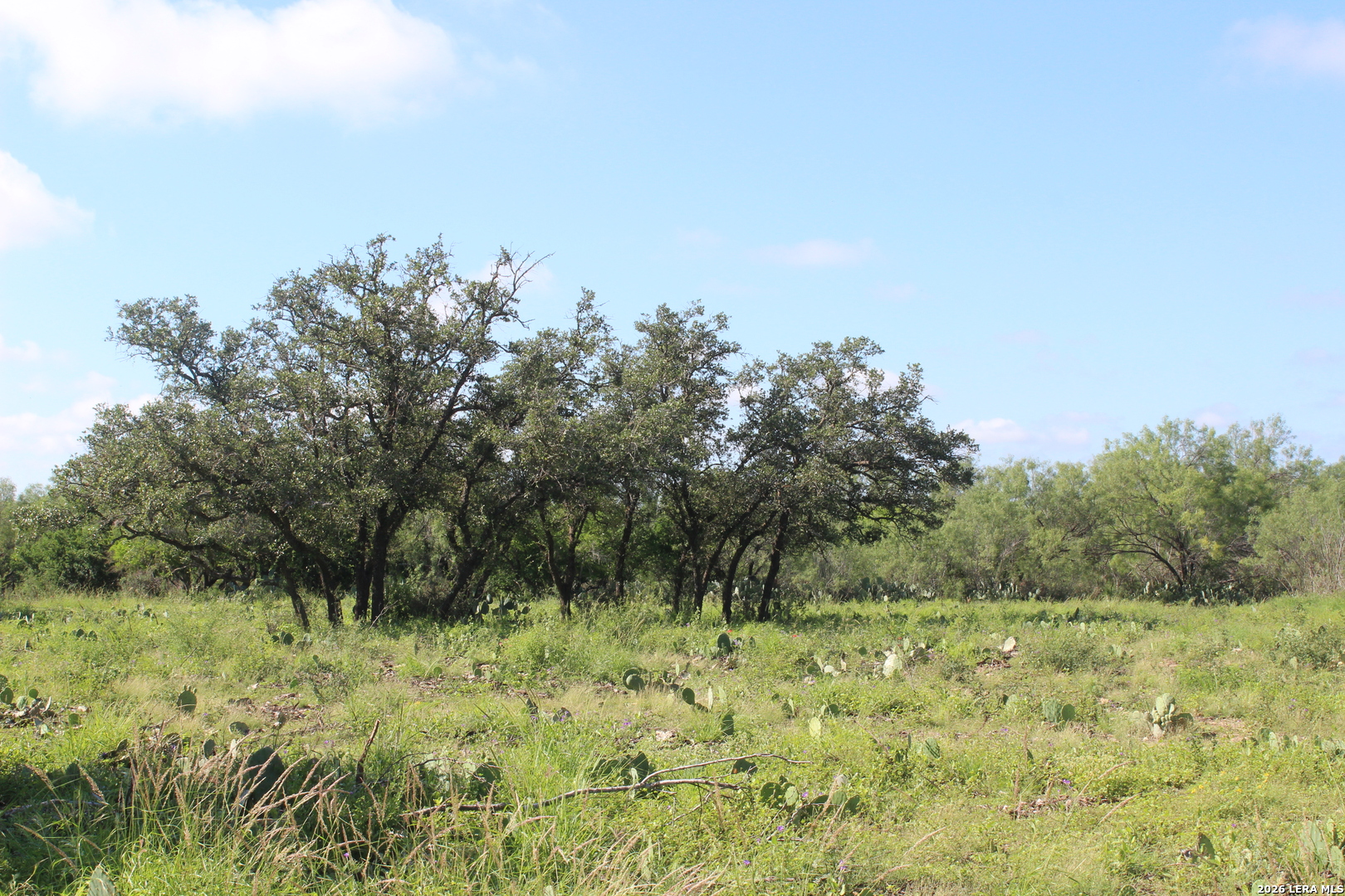 3202 Batesville Road Uvalde TX 78801