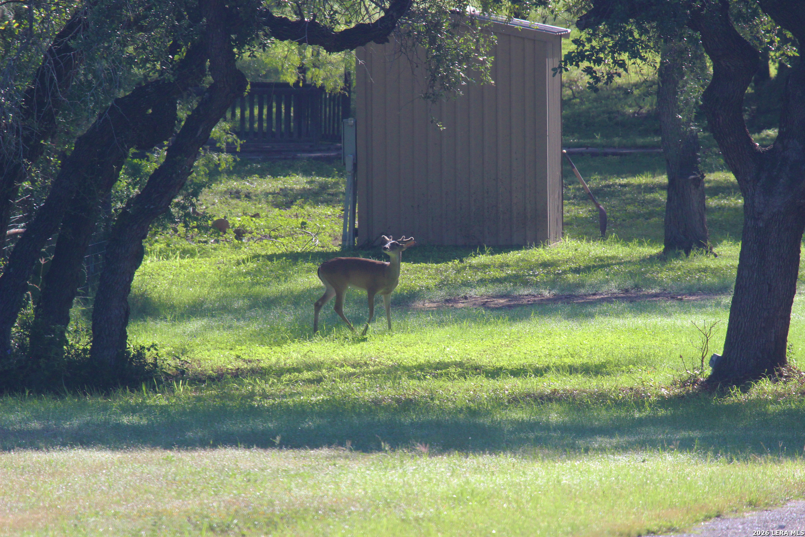 3202 Batesville Road Uvalde TX 78801