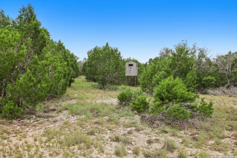 1014 N-bar Ranch Road Brackettville TX 78832