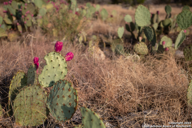 649 Rocky Hill Road Junction TX 76849