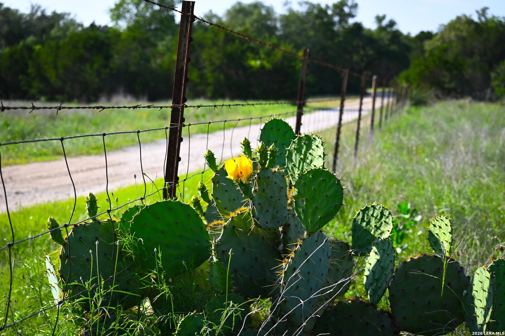 Tbd Fm 32 Blanco TX 78606