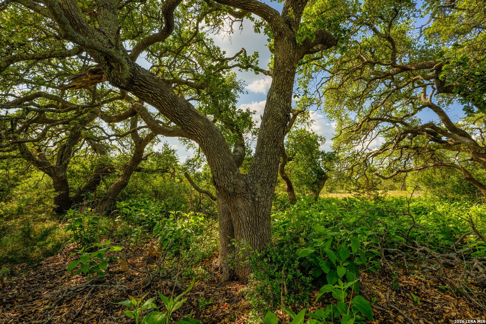 Tbd Fm 32 Blanco TX 78606