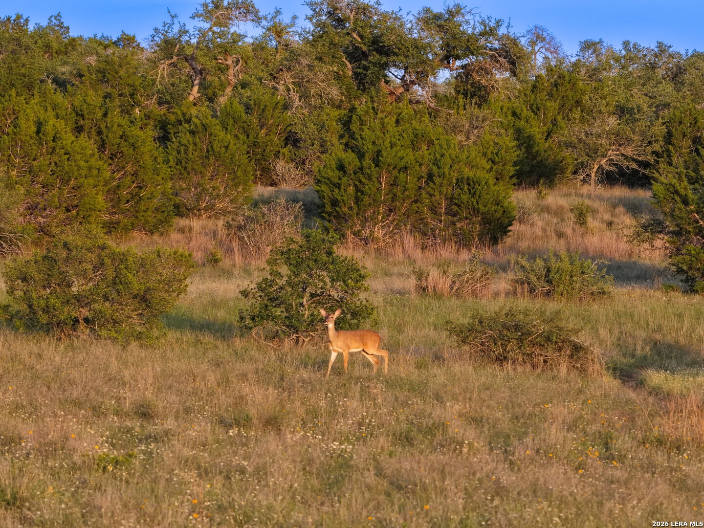 Tbd Fm 32 Blanco TX 78606