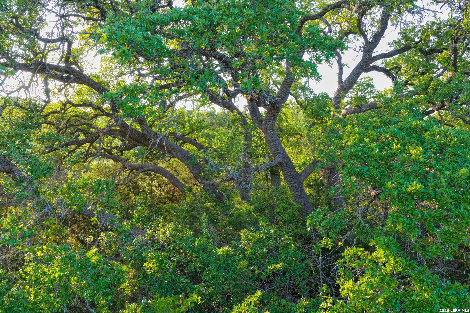 Tbd Fm 32 Blanco TX 78606