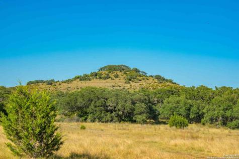 147 Gray Wolf Blanco TX 78606