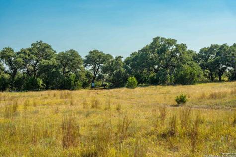 147 Gray Wolf Blanco TX 78606