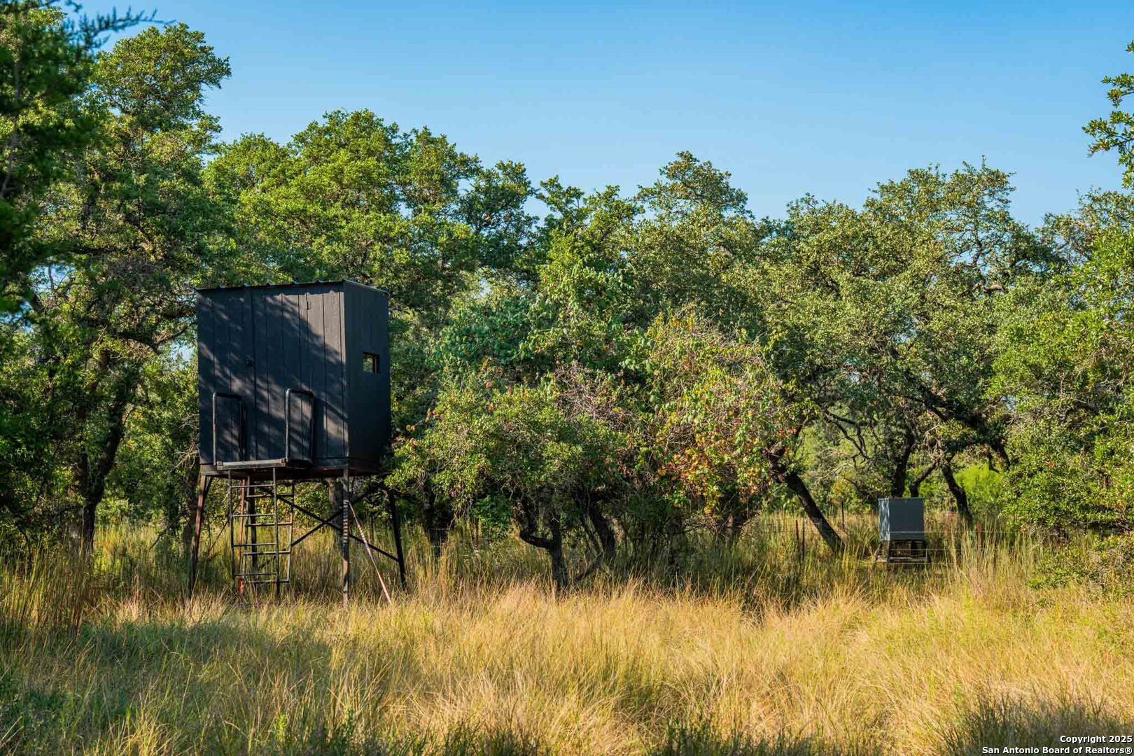 147 Gray Wolf Blanco TX 78606