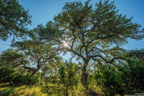 147 Gray Wolf Blanco TX 78606
