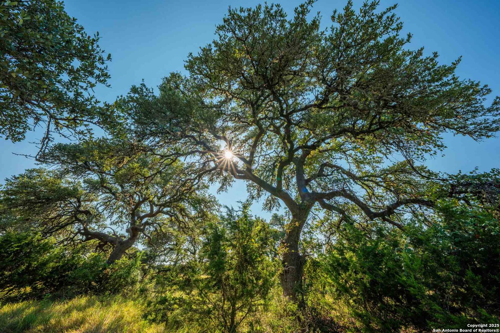 147 Gray Wolf Blanco TX 78606