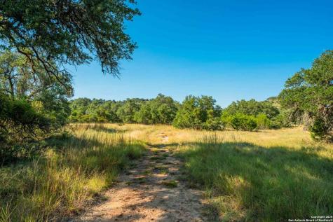 147 Gray Wolf Blanco TX 78606