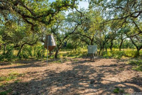 147 Gray Wolf Blanco TX 78606