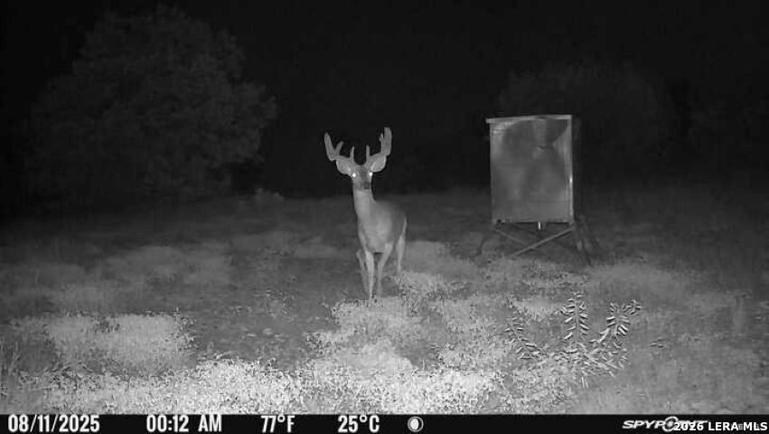 Tbd Sd 45453 Rocksprings TX 78880