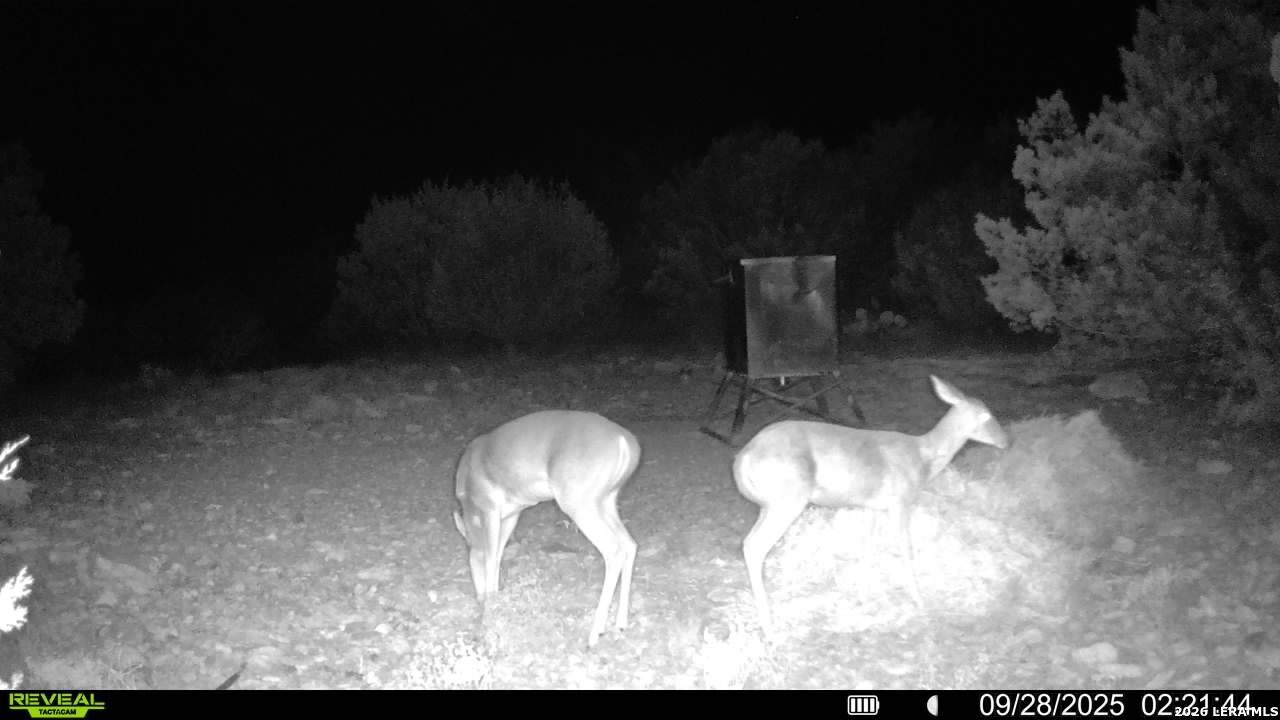 Tbd Sd 45453 Rocksprings TX 78880