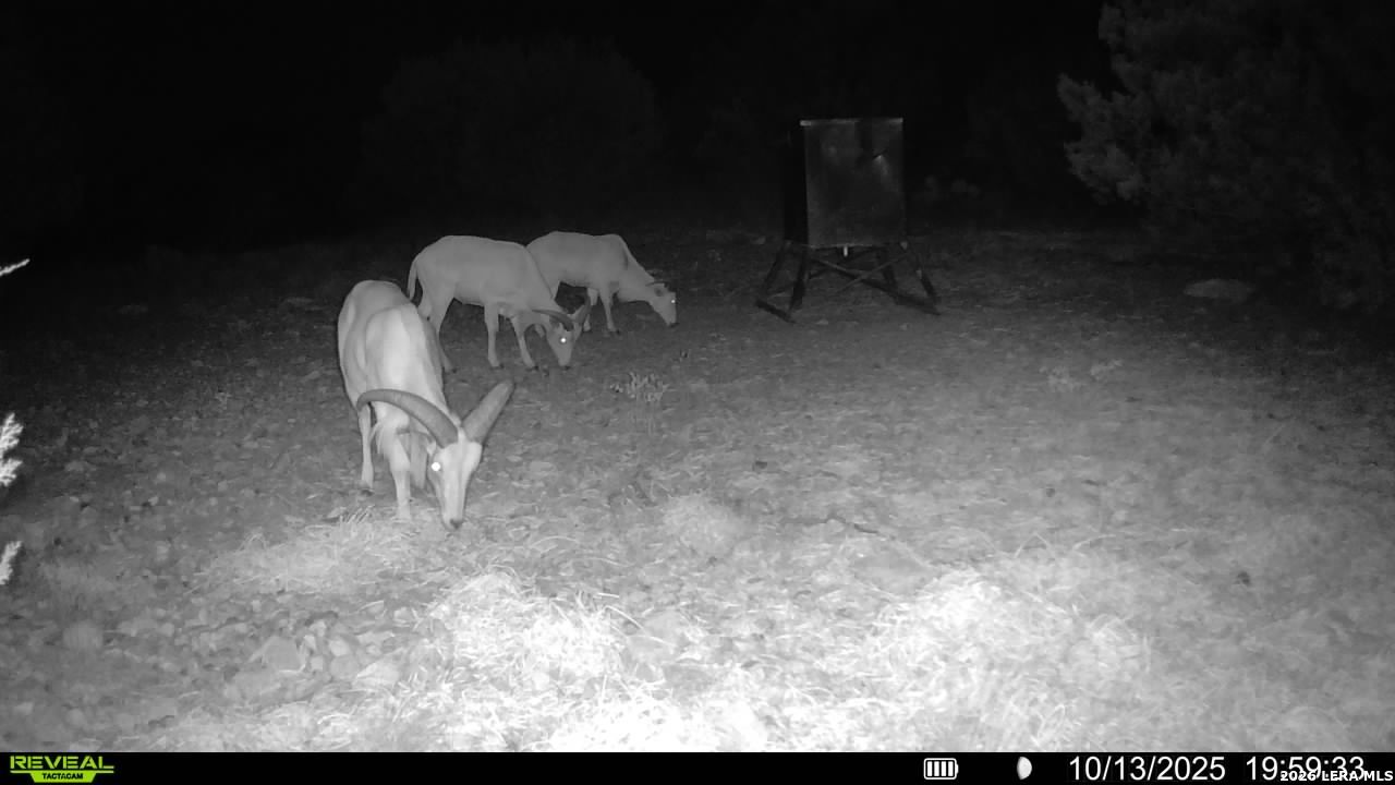 Tbd Sd 45453 Rocksprings TX 78880