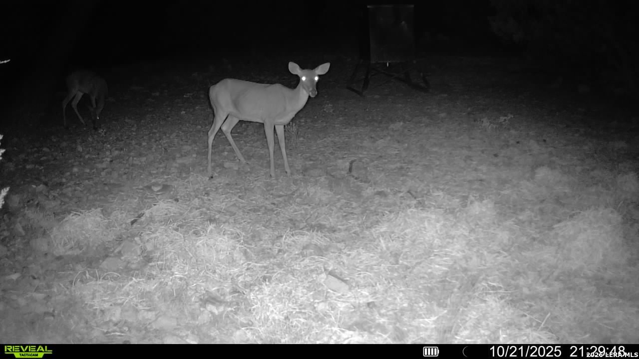 Tbd Sd 45453 Rocksprings TX 78880