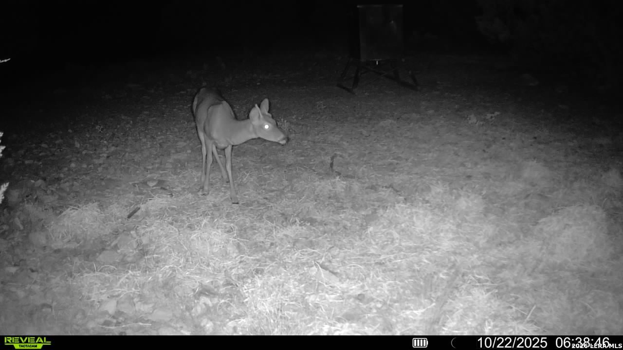 Tbd Sd 45453 Rocksprings TX 78880