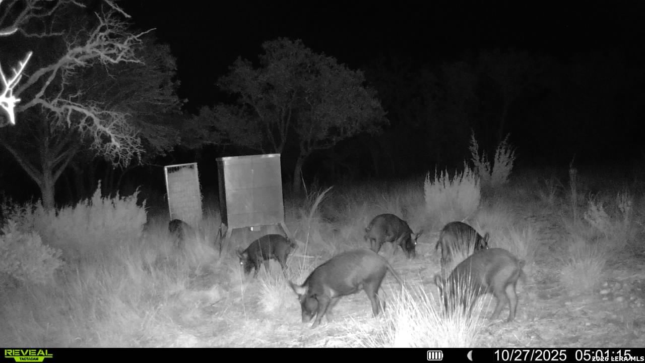Tbd Sd 45453 Rocksprings TX 78880
