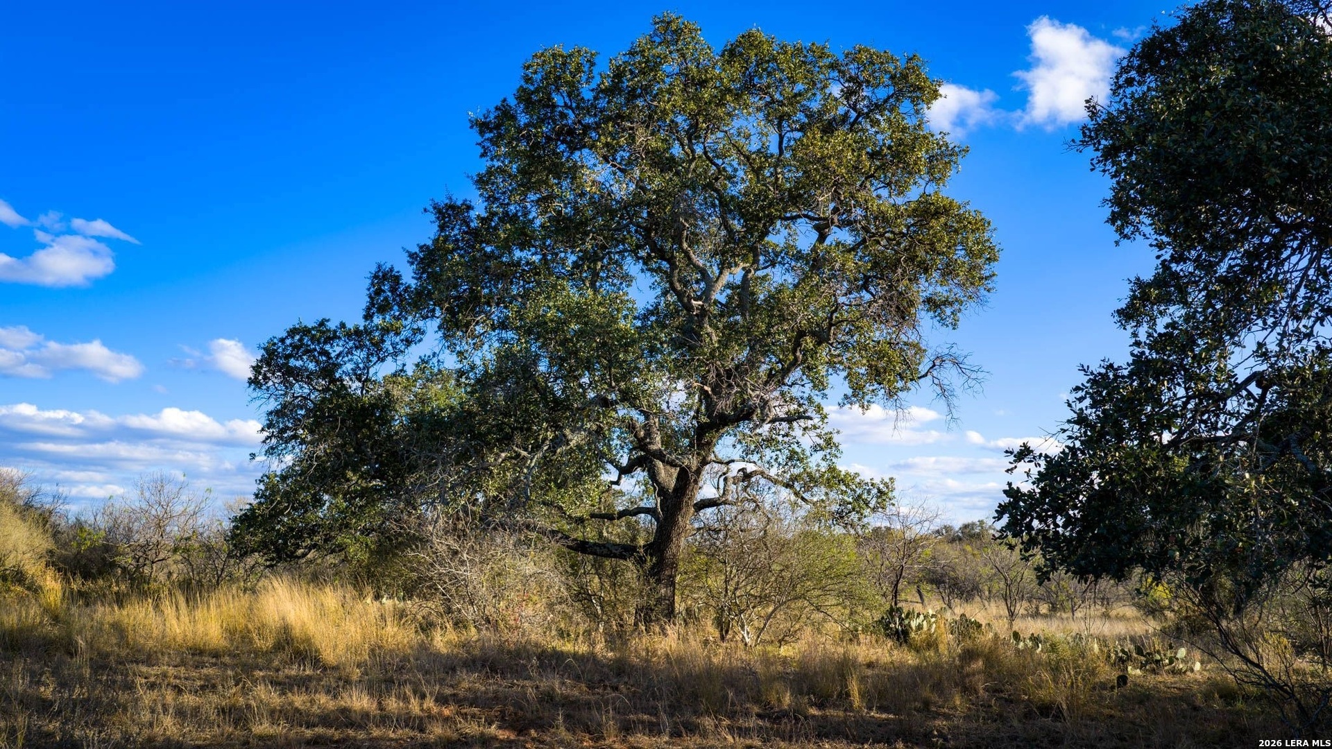 Tbd Broke O Road Llano TX 78643