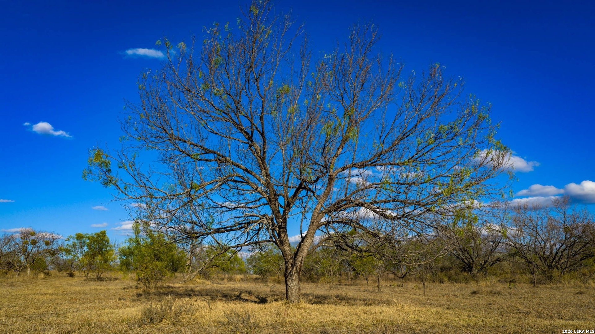 Tbd Broke O Road Llano TX 78643