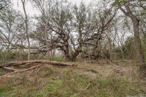2660 W Jett Road San Antonio TX 78264