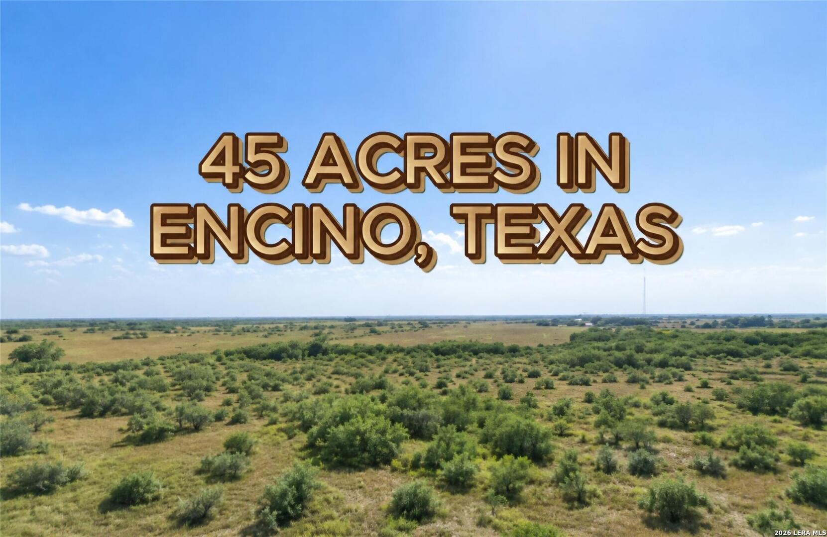 7307 S Highway 281 Encino TX 78353