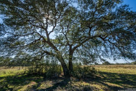 16297B Tx-111 Yoakum TX 77995