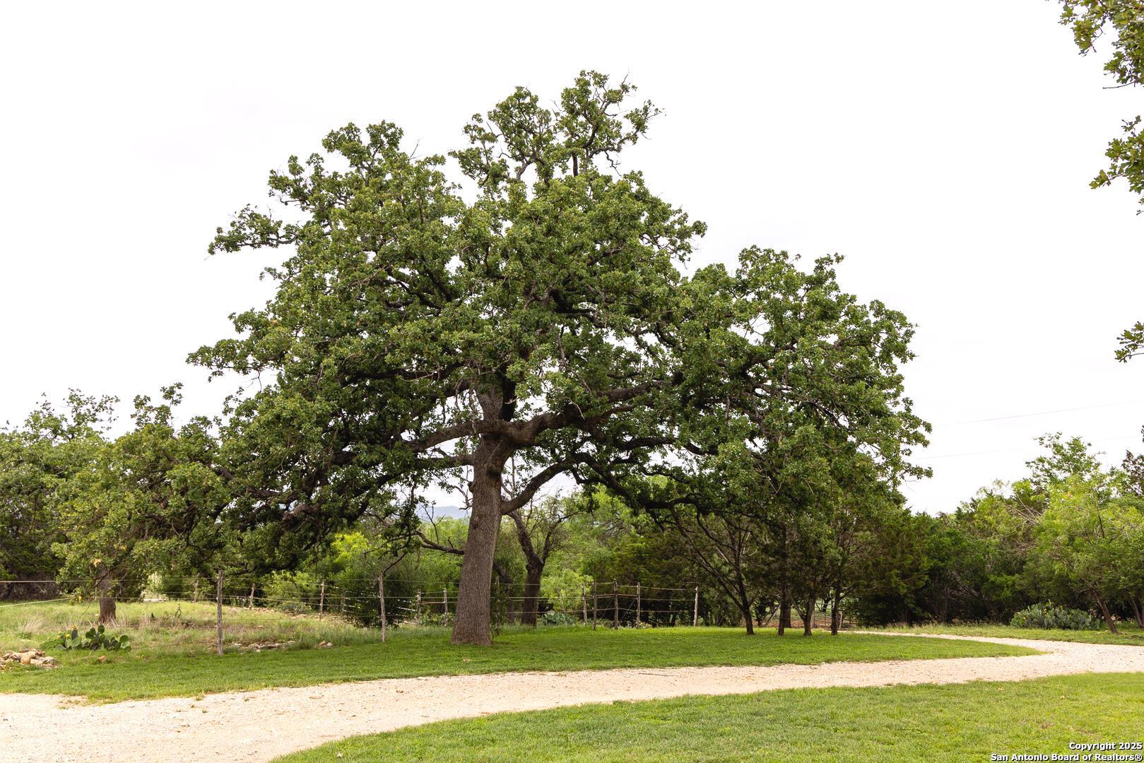 1897 Kyle Ranch Bandera TX 78003