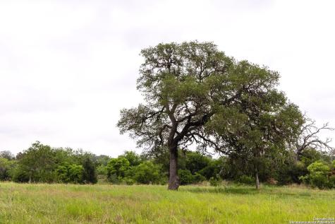 1897 Kyle Ranch Bandera TX 78003