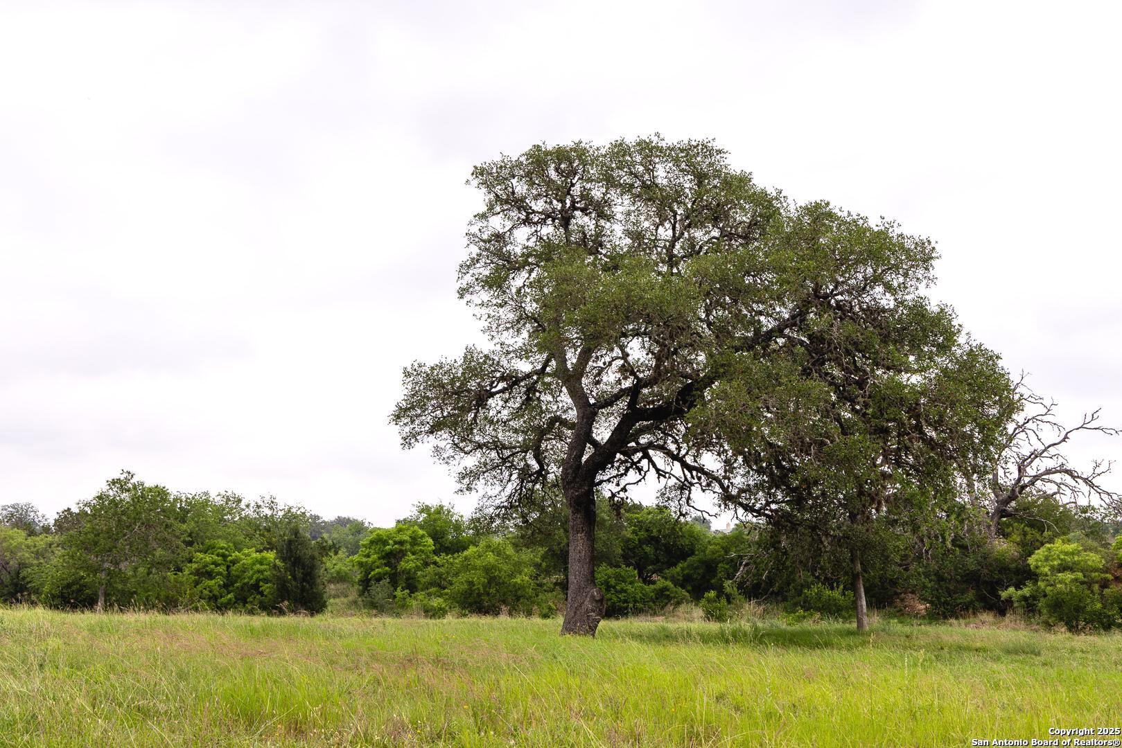 1897 Kyle Ranch Bandera TX 78003