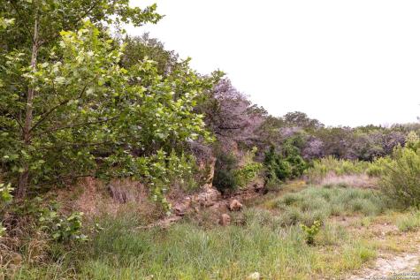 1897 Kyle Ranch Bandera TX 78003