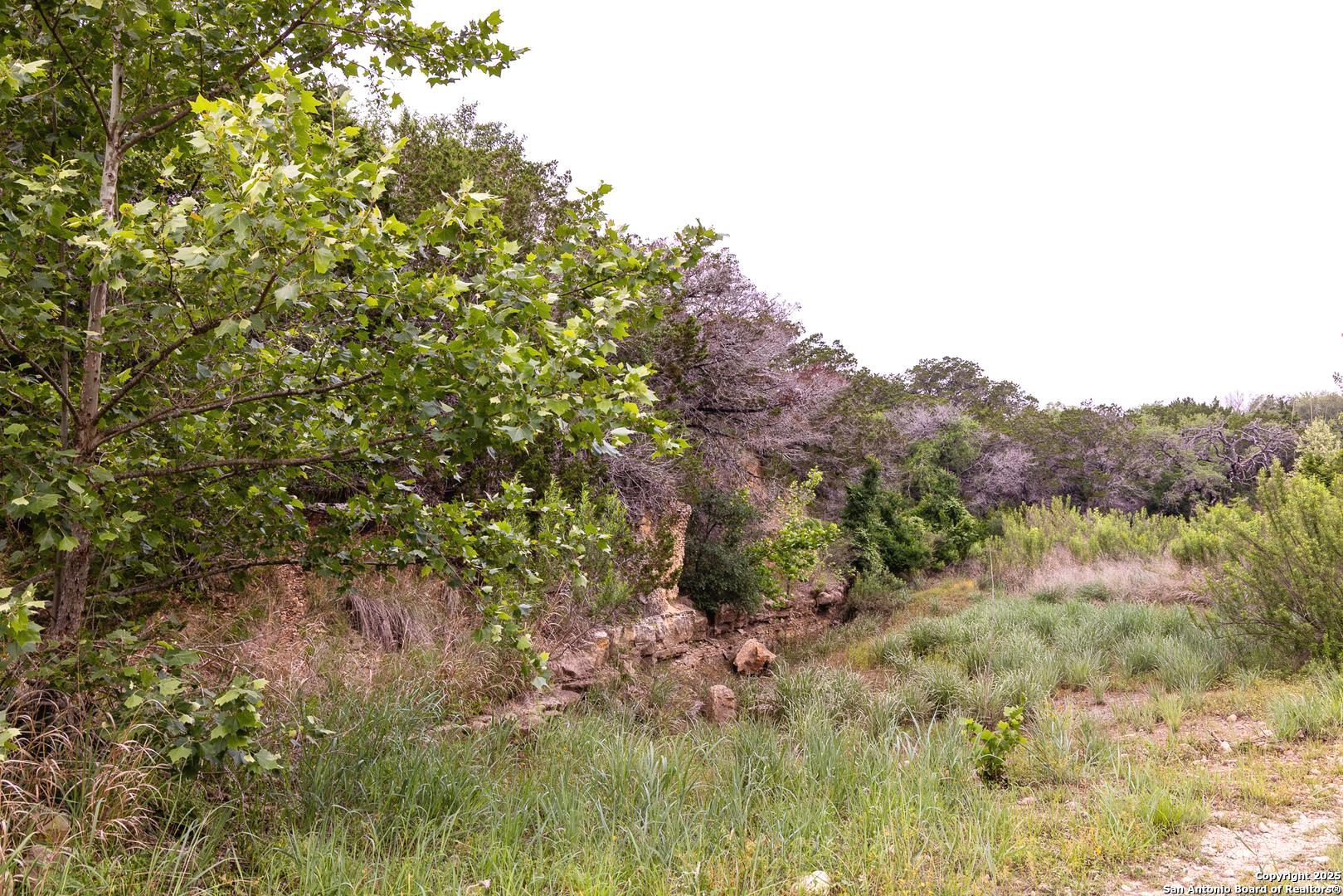 1897 Kyle Ranch Bandera TX 78003