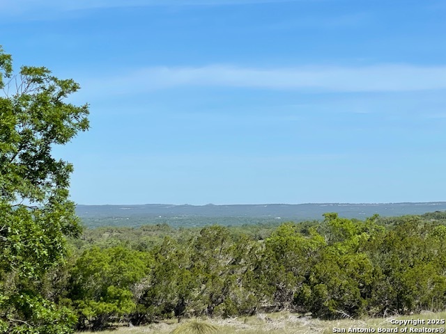 3788 Byrd Ranch Road Johnson City TX 78636