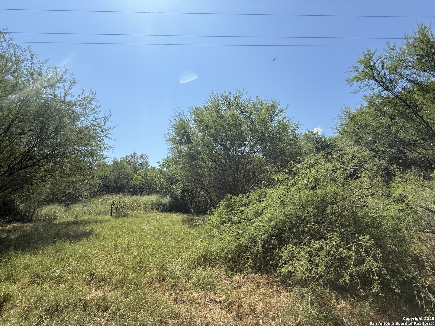 5751 Fm 541 Floresville TX 78114